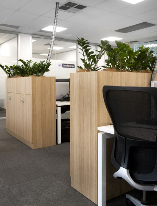 chapman street office desk layout